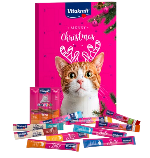 Adventskalender for katter