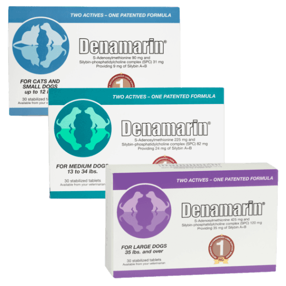 Denamarin Advance Large Hund från 15kg