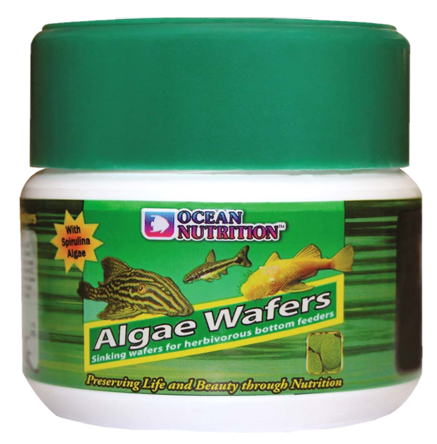 Ocean Nutrition On Algae Wafers Green 75 g