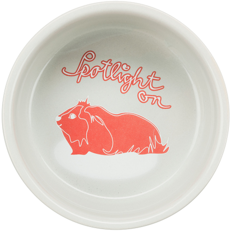 Trixie Keramisk skål til marsvin 250 ml/ø11 cm