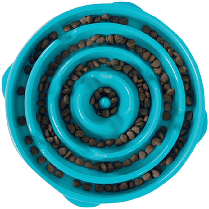 Fun Feeder Slo-Bowl Turquoise Small 20,5x5cm