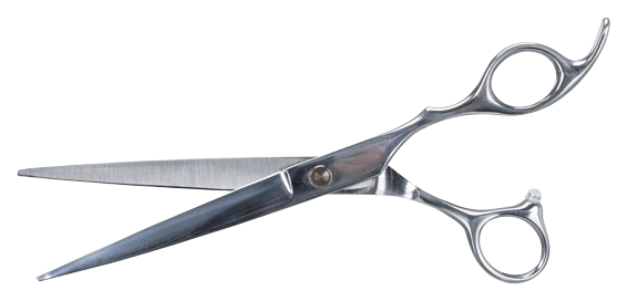 Profesjonell Trimsax