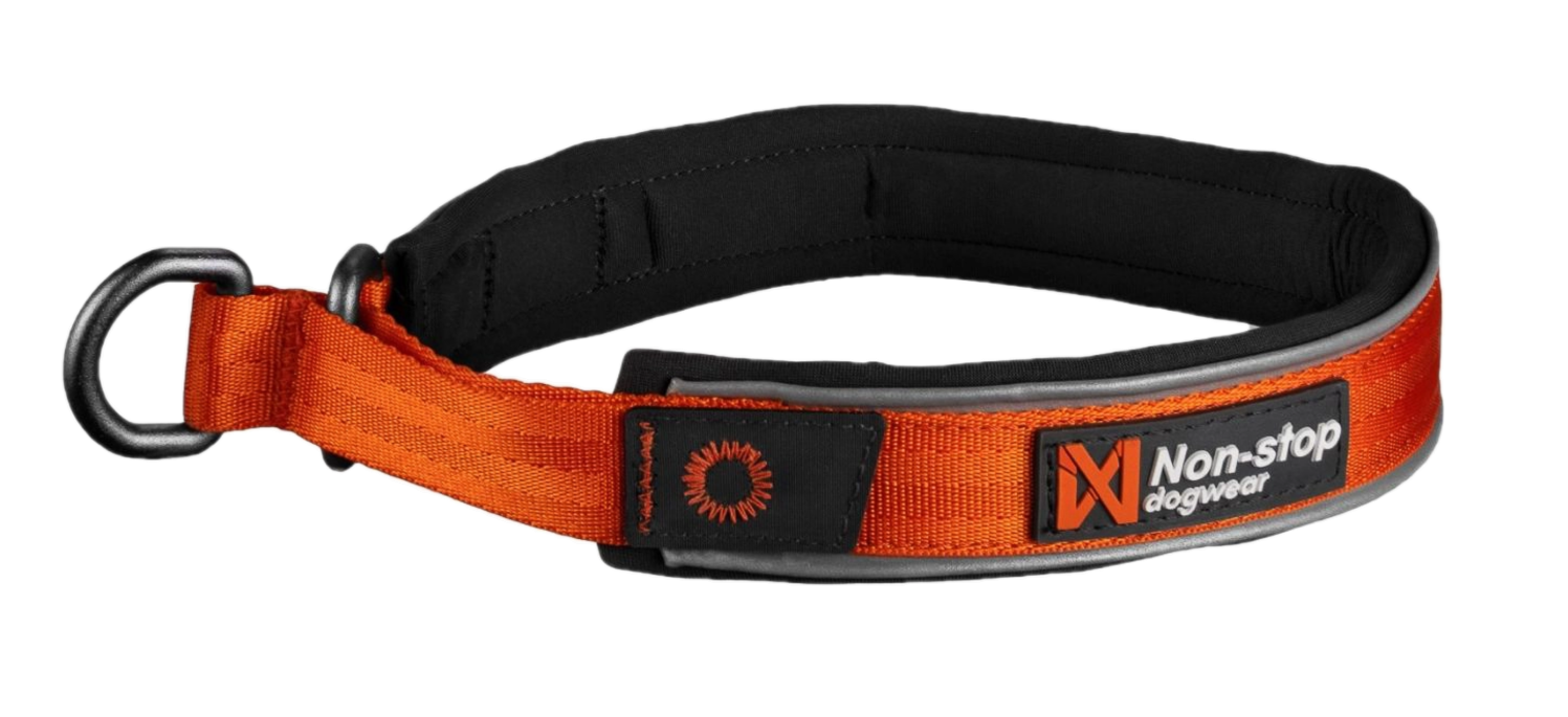 Cruise Collar Orange XS 36cm