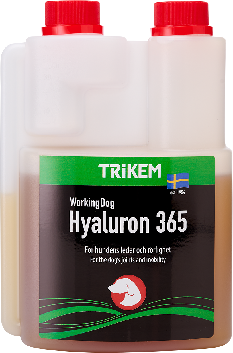 Trikem WorkingDog Hyaluron365