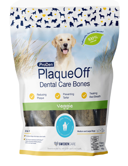 ProDen Plaque Off Dental Care Bones Veggie 482g