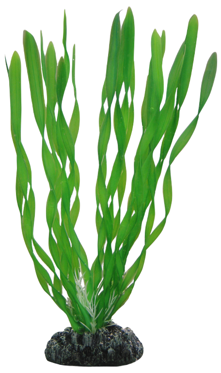 Hobby - Plastplante Vallisneria 20 cm - Fisk - DekorasjonPetXL