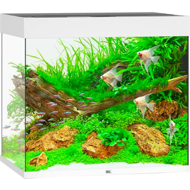 Juwel Lido LED-akvarium hvit 120 L