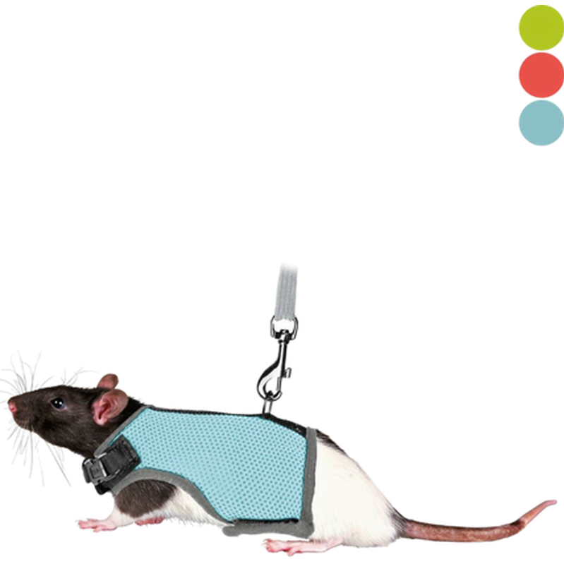 Myk, myk sele med bånd Rotteblanding 12-18 cm