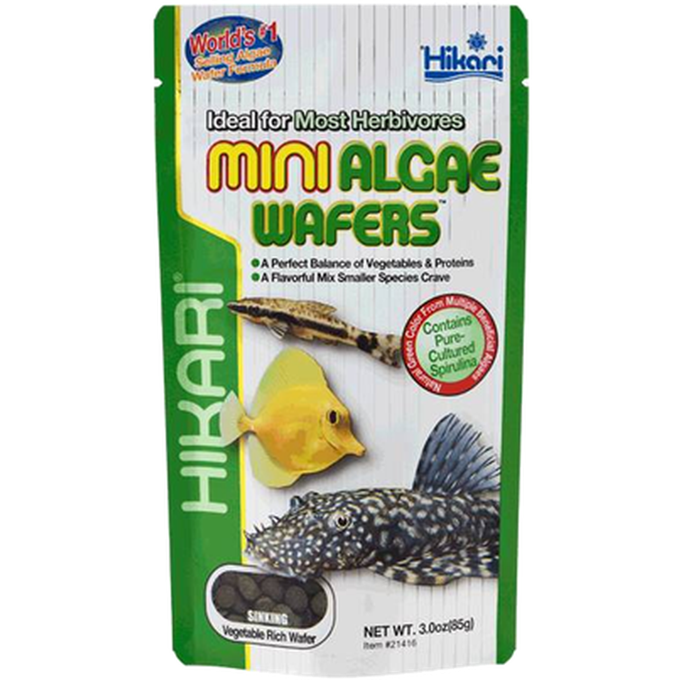 Hikari - Mini-Algae Wafers 22 g - Fisk - FôrPetXL
