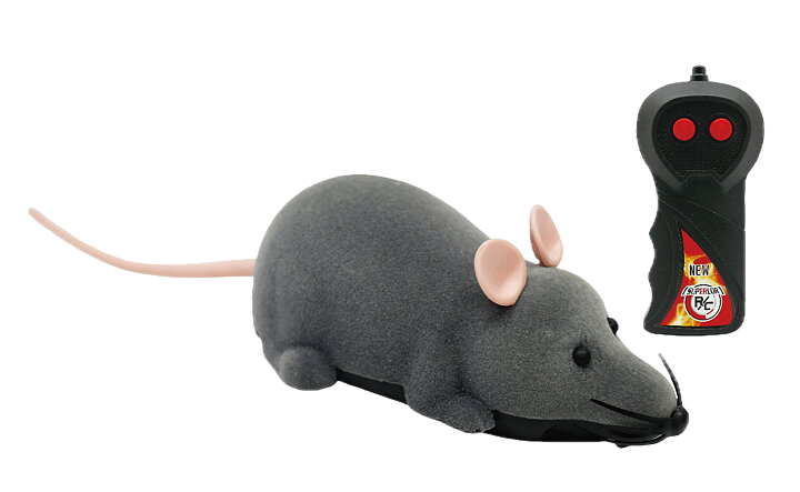 Radiostyrt rotte med fjernkontroll