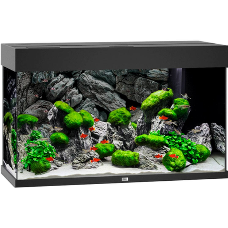 Juwel Rio LED Aquarium Svart
