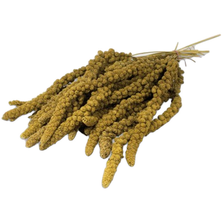 Hirsekolbe Gul 250g
