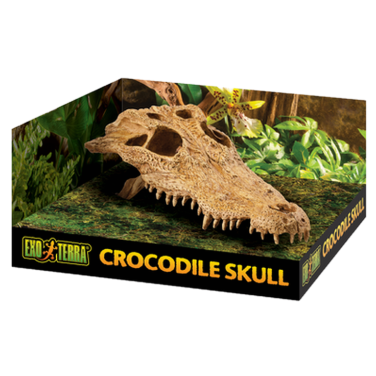 Exoterra - Krokodillehodeskalle - Sikkert gjemmested Beige 22 cm - Reptil - Dekorasjon - Kunstige planterPetXL