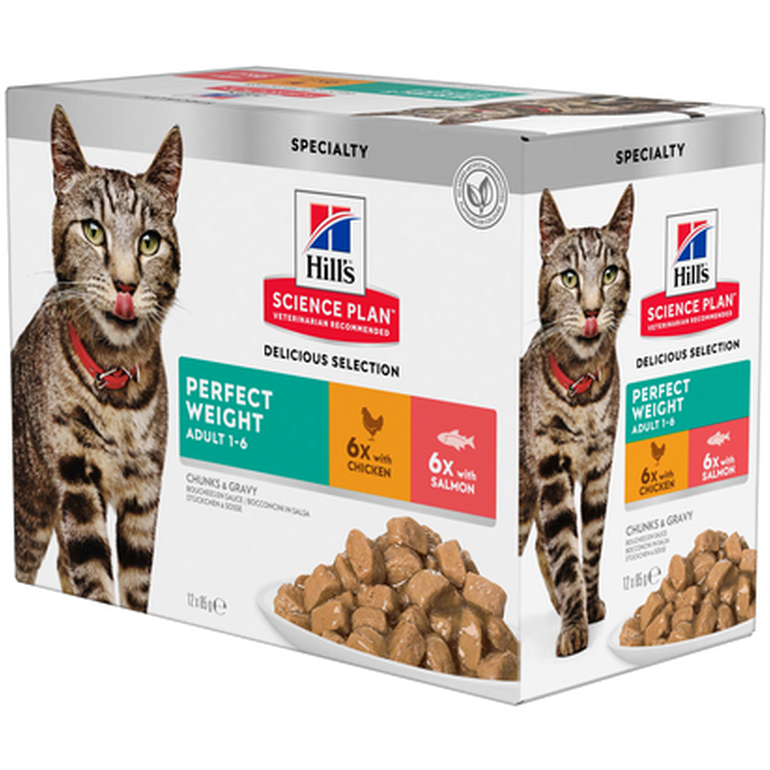 Hills Science Plan Adult Perfect Weight Chicken Salmon Pouch - Wet Cat Food 12 x 85 g - Pouch