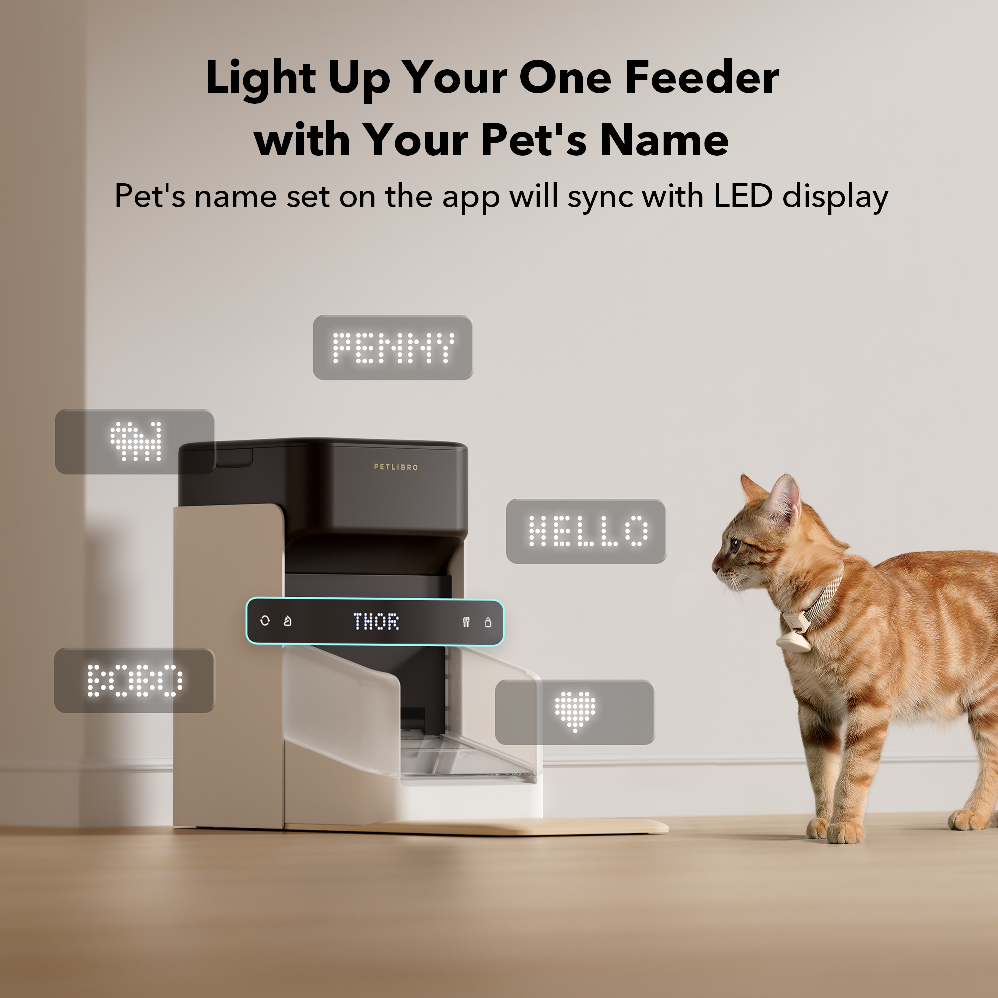 Petlibro Én RFID-mater for kjæledyr | PetXL