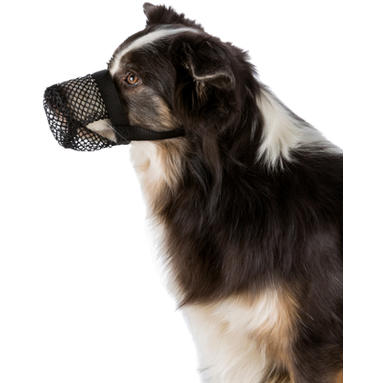 Trixie Trixie Poisoned Bait Protection Munnkurv