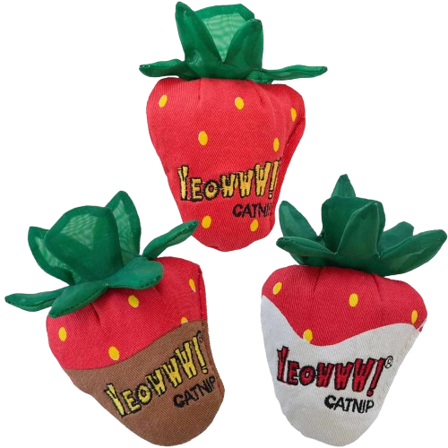 Catnip Strawberry Red