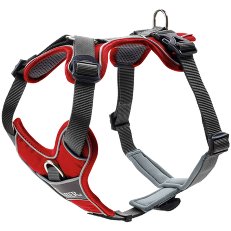 Dog Harness Divo Red Large/X-Large