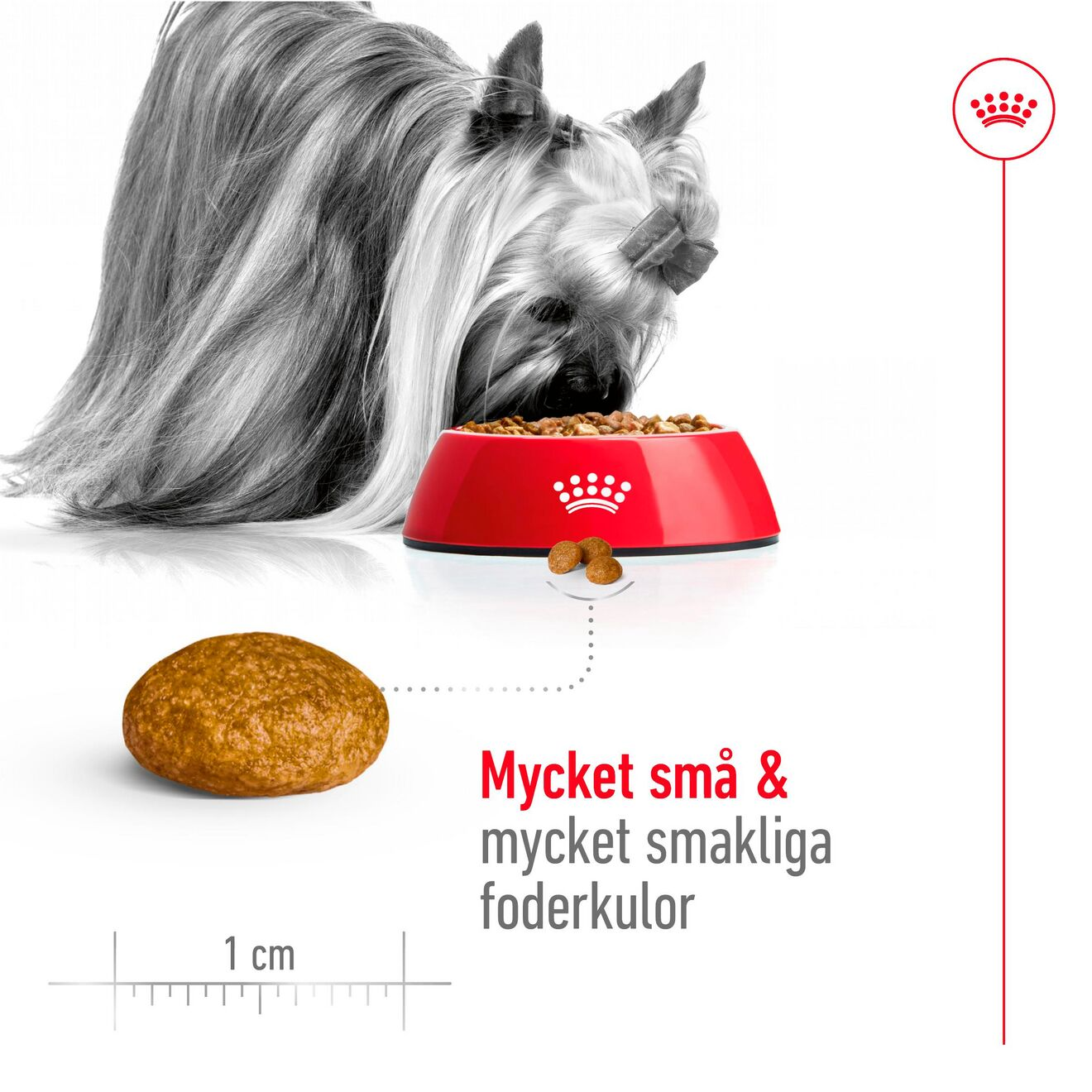Royal Canin X-Small Adult tørrfôr for hunder | PetXL