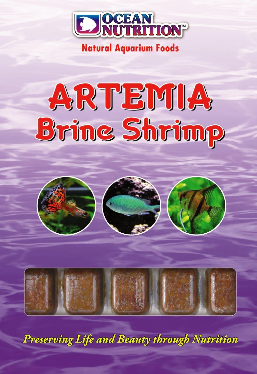 Frozen Artemia