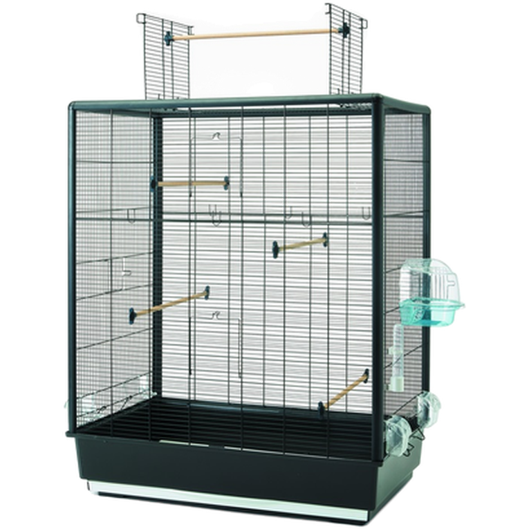 Savic Primo 60 Åpen Empire Svart 80x50x95cm