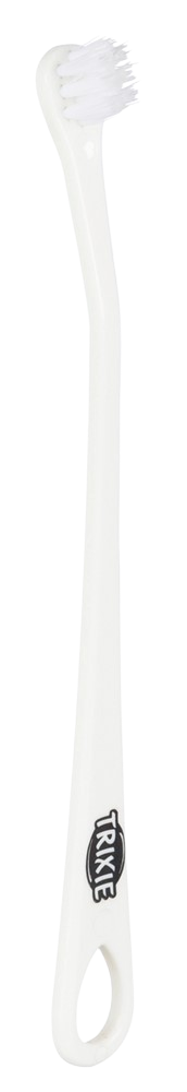 Tannbørste, hund og katt