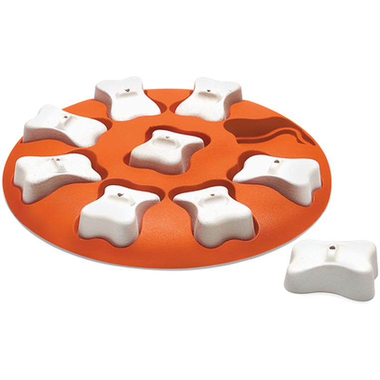 Dog Smart Plastic, nivå 1 (nybegynner) Oransje 27 x 27 x 3,5 cm