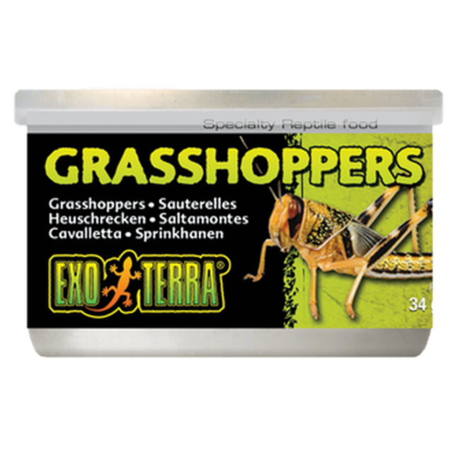 Exoterra - Grasshoppers - Hermetisert spesialfôr for reptiler Svart 35 g - Reptil - ReptilfôrPetXL