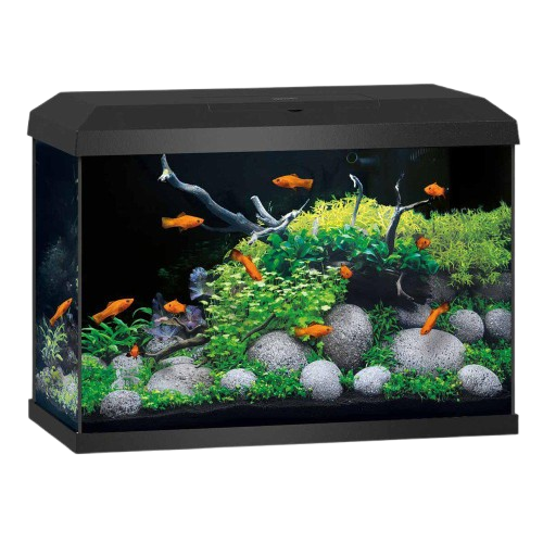 Akvarium Primo 70 Black 2.0 61x31x44 cm 70L - Fisk - Akvarier - Juwel