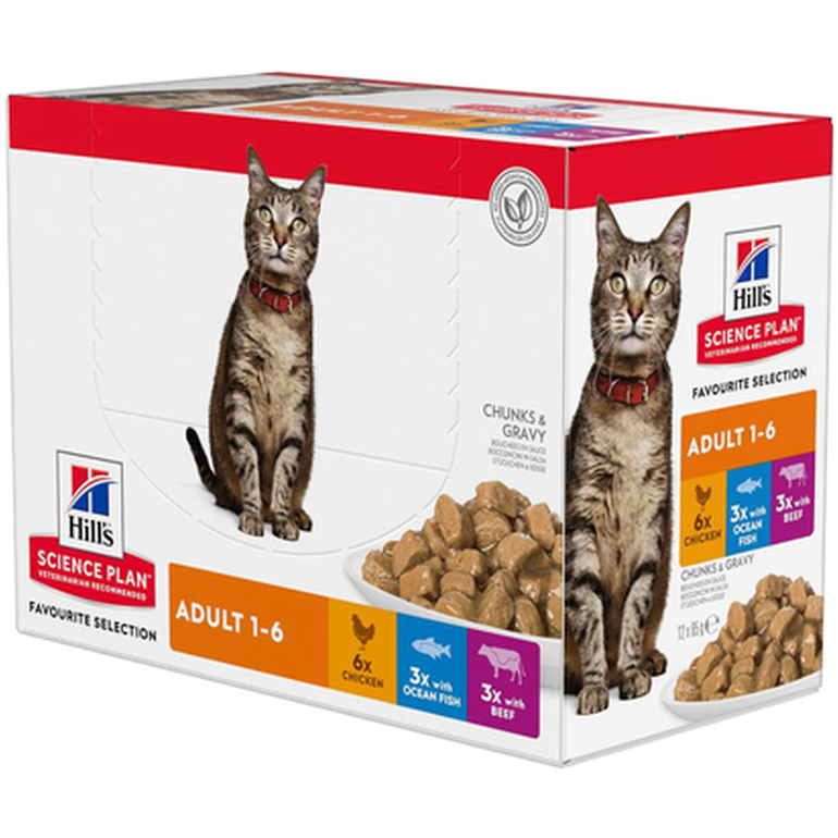 Adult Chicken Ocean Fish Beef Pouch - Wet Cat Food 48 x 85 g