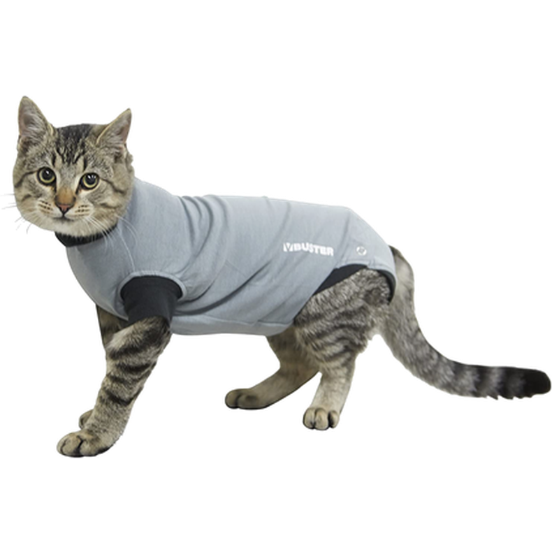 Buster Body Suit Katt