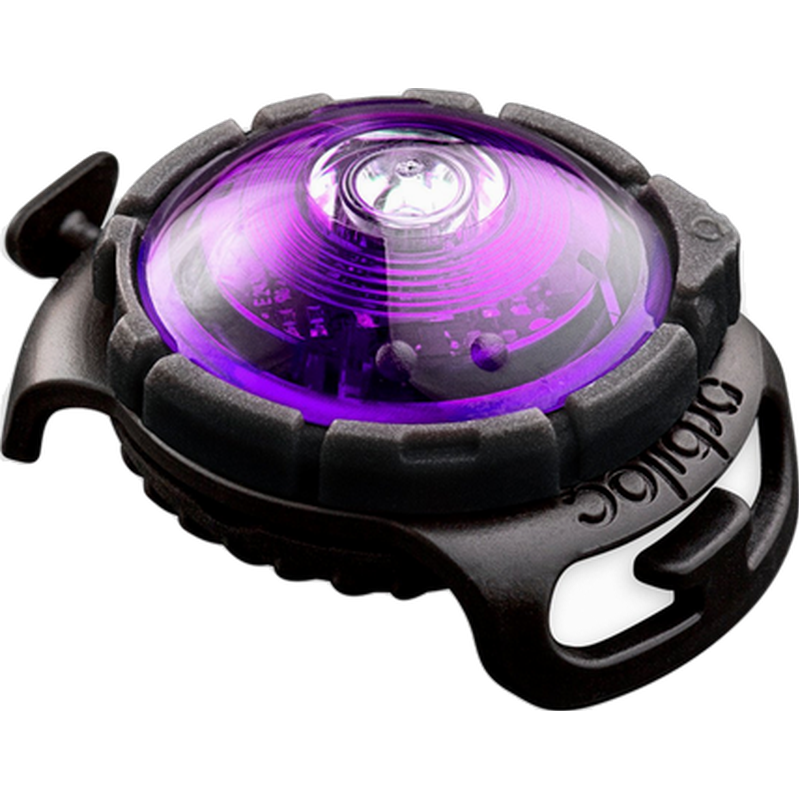Safety Light Dog Dual LED - With Quick Mount & Adjustable Strap Purple 5 km