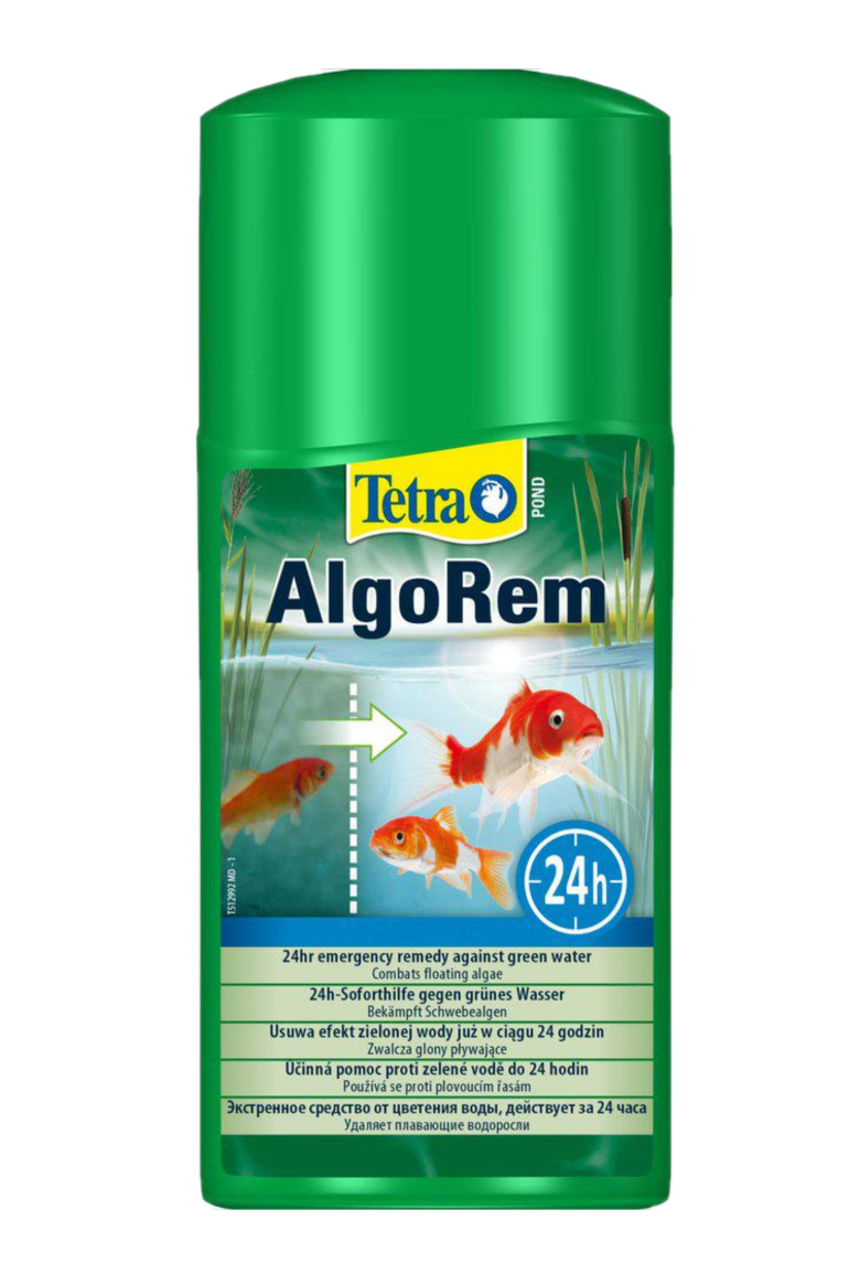 Tetra Dammen Algorem på vei mot grønt vann