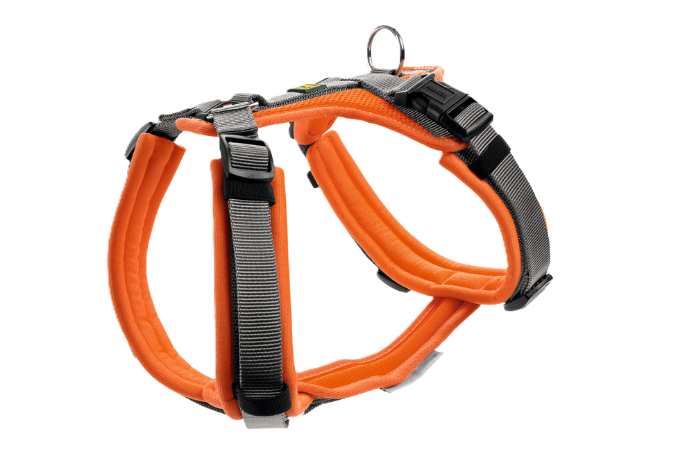 Harness Maldon Up Polyester orange/grey