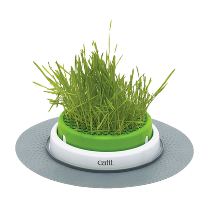 Senses 2.0 Gressplanter grønn 24,5 cm