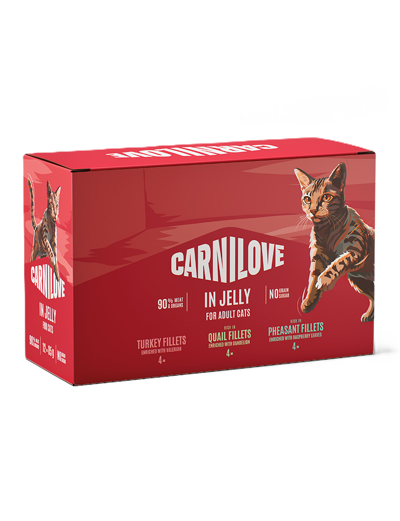 Cat Pouch Jelly Multipack