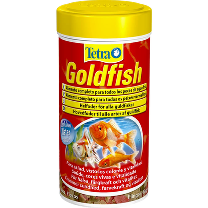 Tetra Goldfish