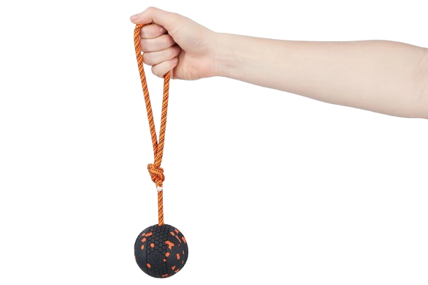 Non-Stop Dogwear Dog ball on rope