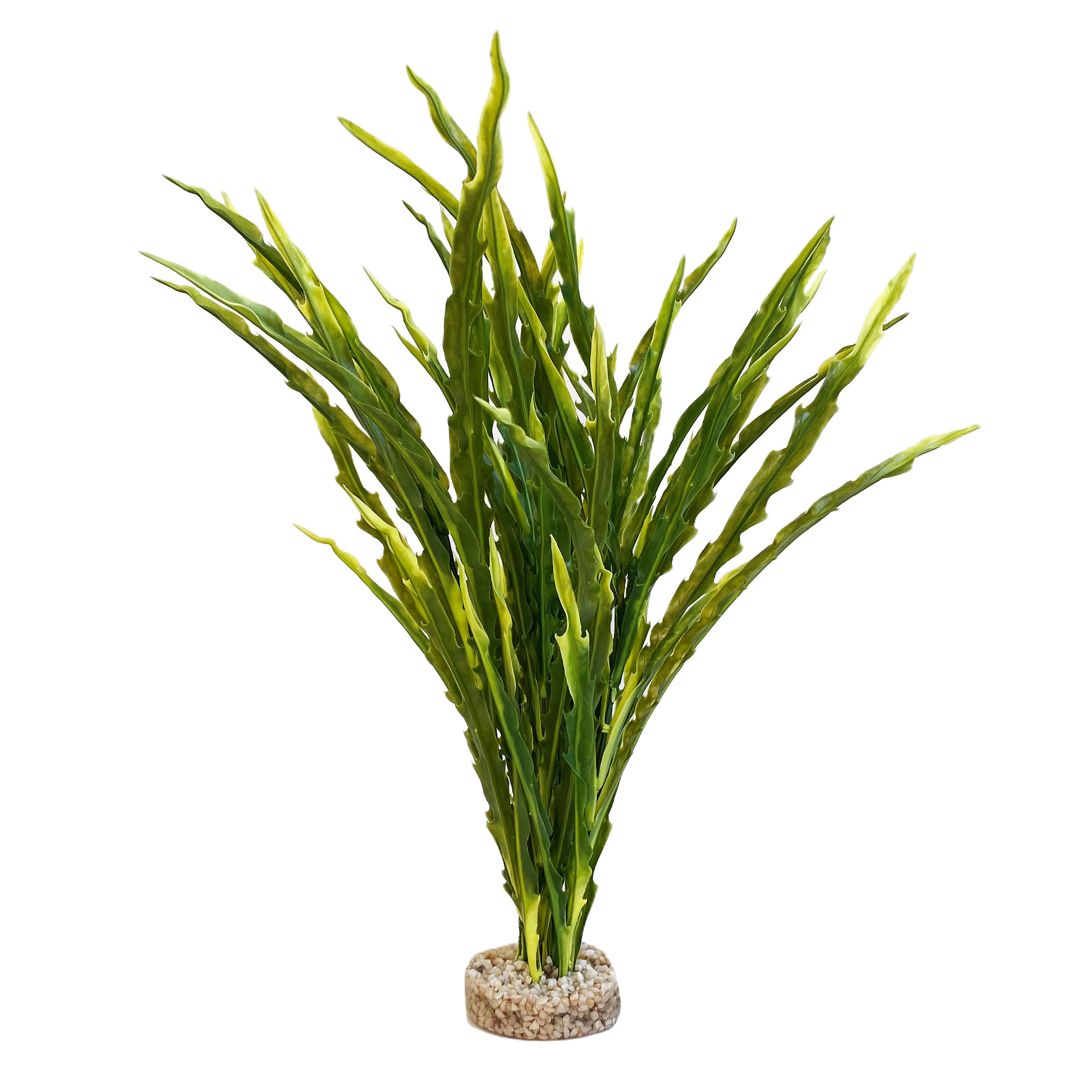 Sydeco - Plastplante Majestetisk havplante ca 30 cm - Fisk - DekorasjonPetXL