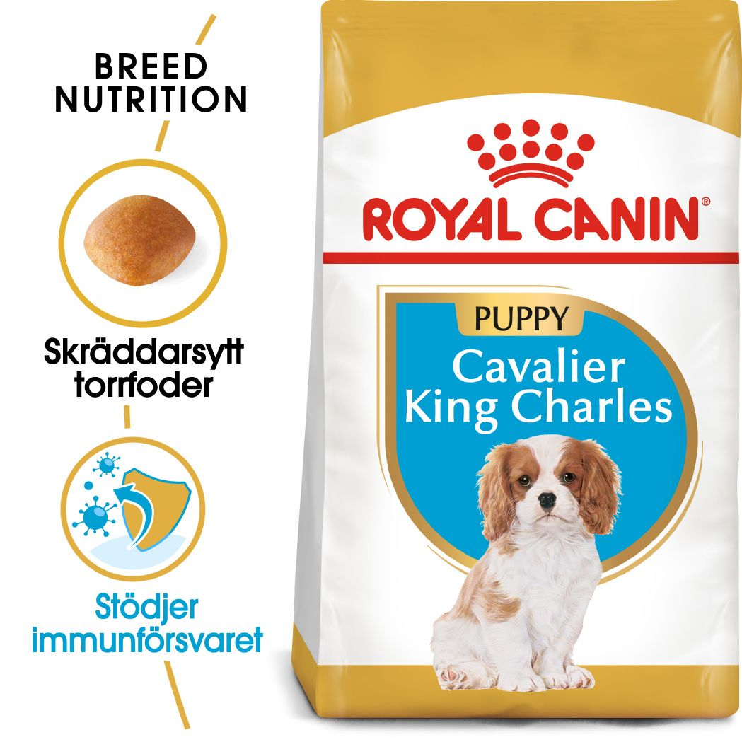 Royal Canin Cavalier King Charles valp tørrfôr for valp 1,5 kg