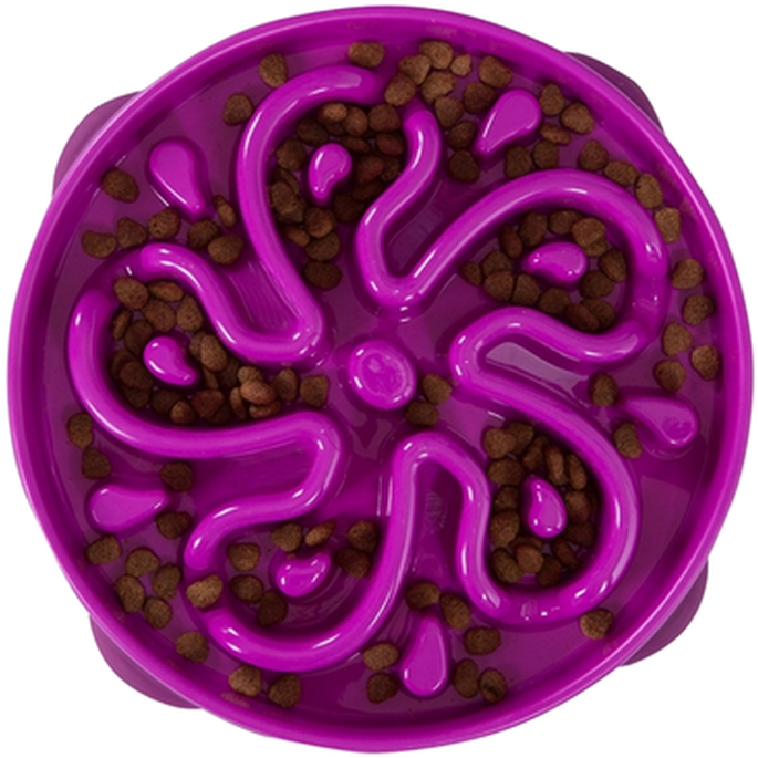 Outward Hound Fun Feeder Slo-Bowl