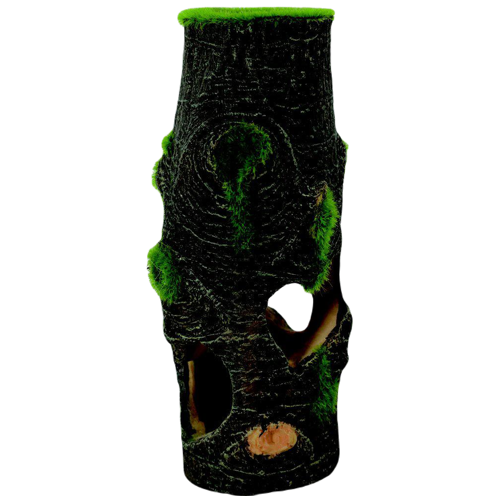 Zolux Kipouss Tree Trunk M med levende plantefrø