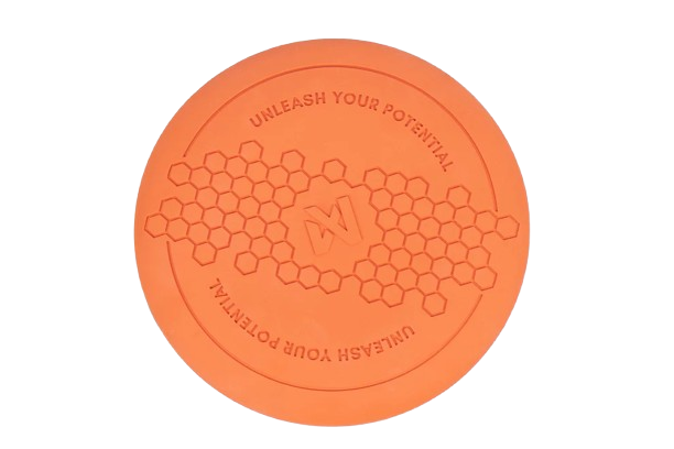 Dog flying disc one size