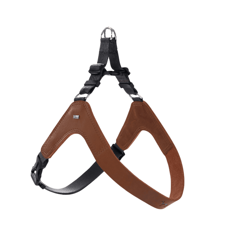 Hundesele Dimaro i kuskinn cognac S-M Bryst 48-69cm