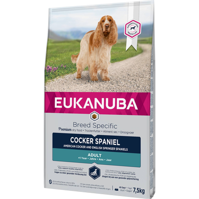 Hunderase Cocker Spaniel 7,5 kg