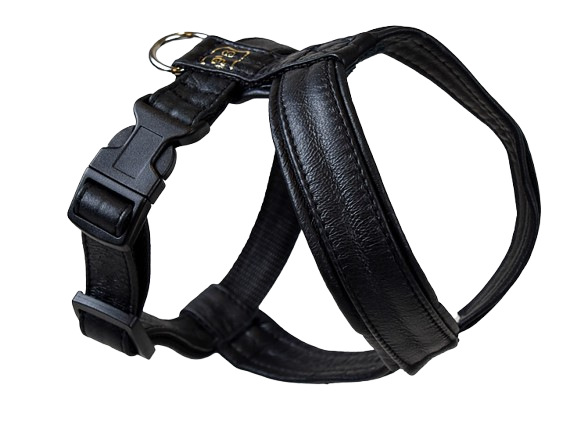 Hundsele Pro - Skinnskodd Black Nr 4