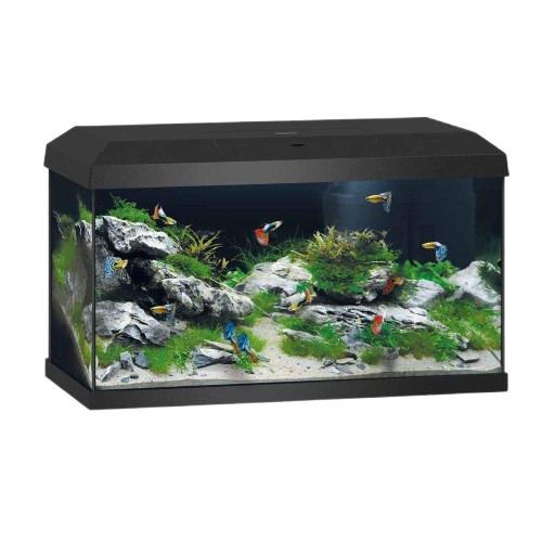 Akvarium Primo 60 Black 2.0 61X31X37 cm, ca 57L