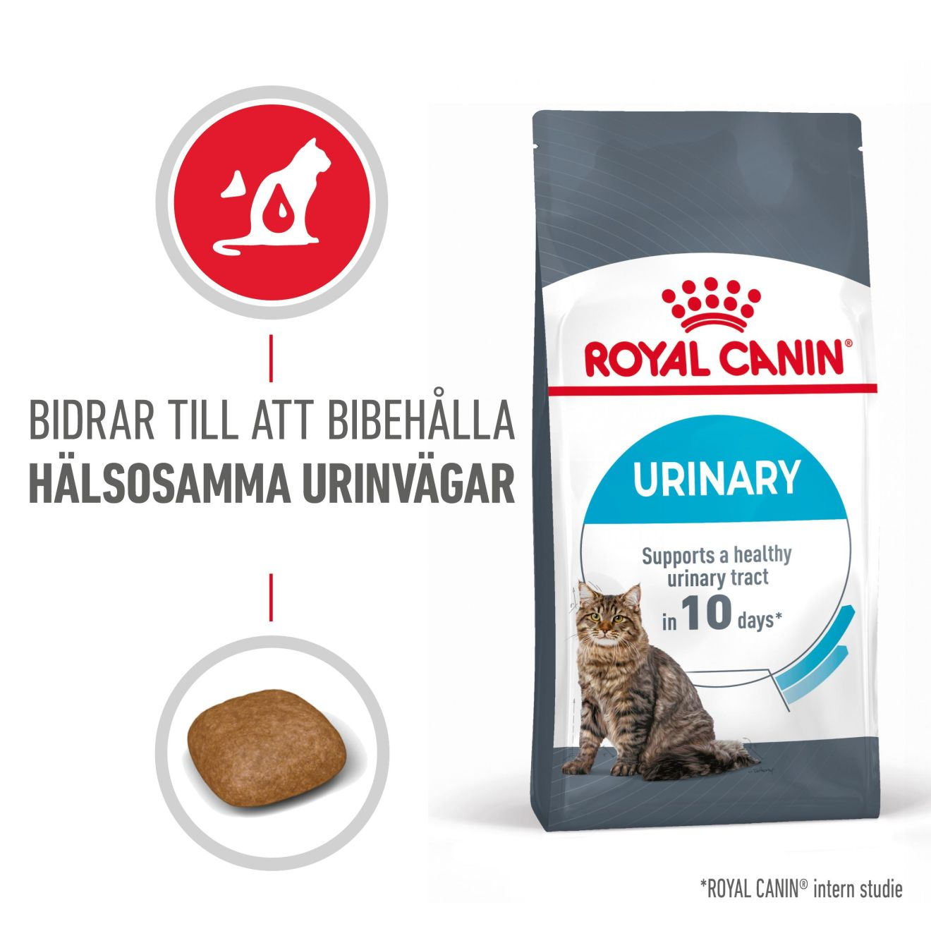 Feline Urinary Care tørrfôr til katter 10 kg