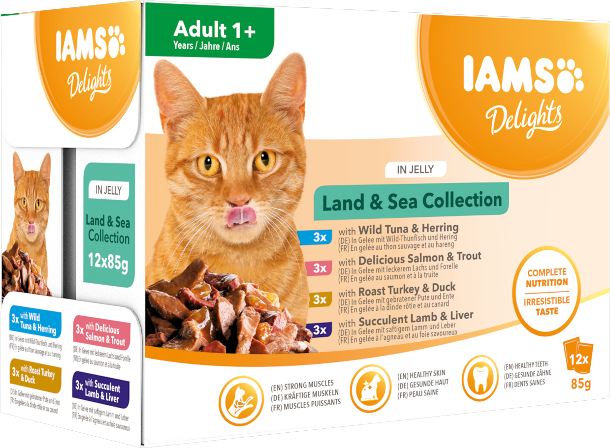 Iams Cat Delights Jelly Multipack Land & Hav 12x85g