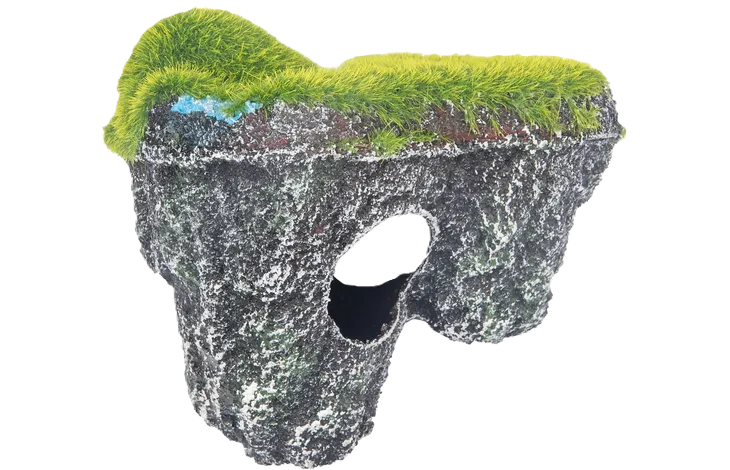 Decoration Floating Grey Rock Moss